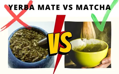 Matcha czy Yerba? Odkryj, co lepsze dla Twojego zdrowia i energii