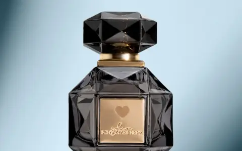 Die beste Parfum für Frauen: Die beliebtesten Düfte für jeden Anlass