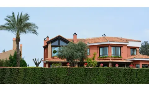 Vistas de casas de lujo en Granada, con palmeras, olivos y un seto verde.
