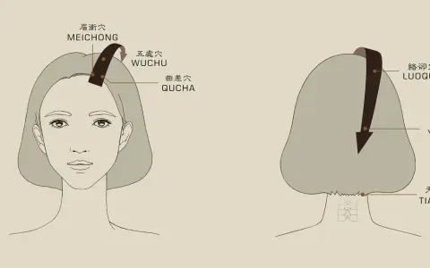 A diagram showing points on the head and neck for acupressure. Learn how to massage your head for relaxation.