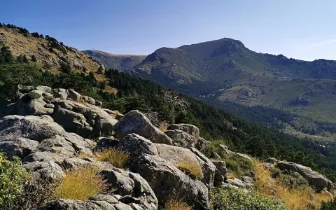Rocas y vegetación en la ladera de la barranca, con un bosque de pinos y montañas al fondo bajo un cielo azul.