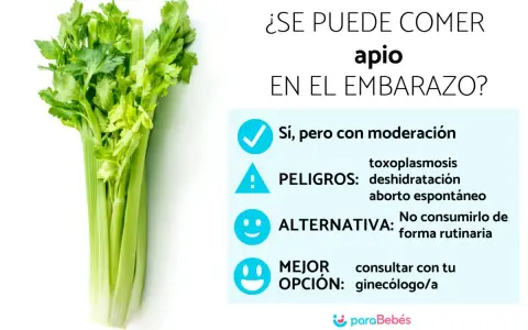 Un manojo de apio fresco junto a un texto que pregunta si se puede comer apio en el embarazo, con consejos y advertencias.