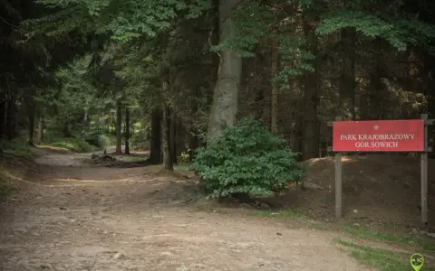 Leśna ścieżka w Parku Krajobrazowym Gór Sowich. Czerwony znak informuje o trasie.