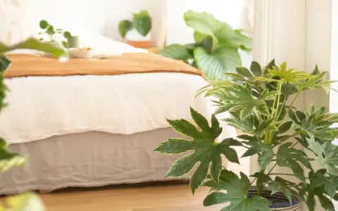 Grüne Zimmerpflanzen, die die Luft reinigen, schmücken ein Schlafzimmer mit einem Bett und einer Decke in warmen Erdtönen.