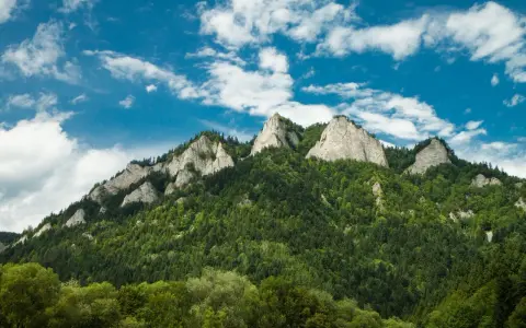Szczawnica: Atrakcje, szlaki, smaki. Jak zaplanować idealny wyjazd?