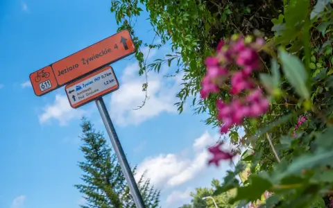 Znaki wskazują trasy rowerowe w Żywcu: Jezioro Żywieckie, Amfiteatr i dworzec PKP.