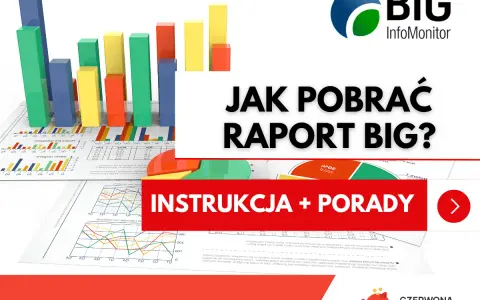 Wykresy i raporty BIG InfoMonitor. Dowiedz się, jak pobrać informację o zadłużeniu i uzyskać instrukcje oraz porady.