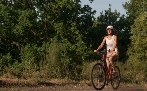 Kobieta w kasku i białej koszulce jedzie na rowerze po leśnej ścieżce. Odkrywa urokliwe trasy rowerowe Wrocławia.