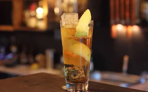 Ein Longdrink mit Eis, Zitronenzeste und einer Orangenscheibe. Die Zitrone windet sich wie ein Pferdehals im Glas.