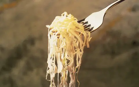 Un tenedor levanta una porción de chucrut, evocando su origen ancestral en la fermentación de la col.