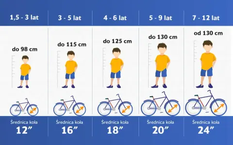 Tabela rozmiarów rowerów dla dzieci. Od najmniejszego 12" dla malucha do największego 24", idealnego jako rower dla wysokiego mężczyzny, gdy był dzieckiem.