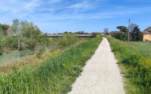 Sentiero ghiaioso della ciclovia del Savio, fiancheggiato da erba verde e fiori gialli, con un fiume sulla sinistra e case in lontananza.