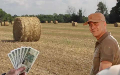 Rolnik z uśmiechem na twarzy, w tle pole ze słomianymi balotami. W ręce trzyma banknoty, zastanawiając się, ile waży balot słomy.
