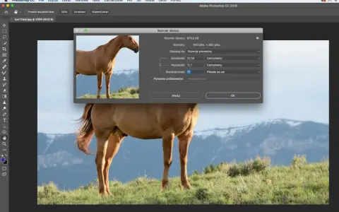 Photoshop DPI/PPI: Zmień rozdzielczość jak ekspert (bez strat!).