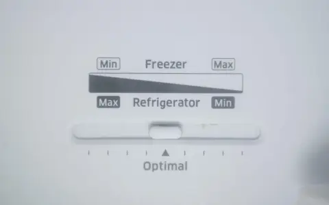 Jaka temperatura w lodówce Samsung? Ustaw 3°C/-19°C i oszczędzaj!