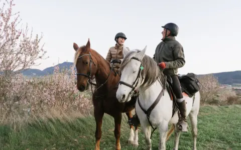 Jazda konna Bieszczady: Stadniny, rajdy, ceny. Twój przewodnik