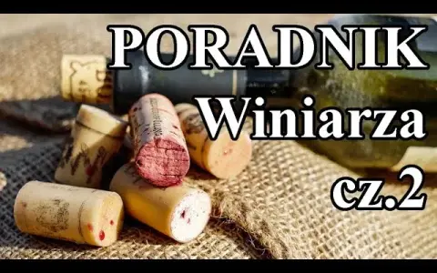 Kiedy butelkować wino domowe? Poznaj kluczowe sygnały i uniknij wpadki