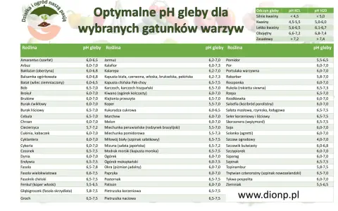 Tabela optymalnego pH gleby dla wybranych gatunków warzyw. Znajdziesz tu informacje o tym, jakie pH gleby jest najlepsze dla Twoich roślin.