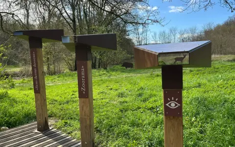 Des jumelles d'observation dans un parc, une affiche "Sens dessus dessous" et une autre "Zoorama". Un cerf et un sanglier sont visibles dans le paysage.
