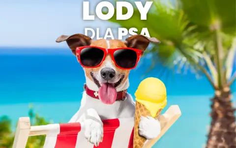 Bezpieczne lody dla psa: Przepisy, składniki i czego unikać