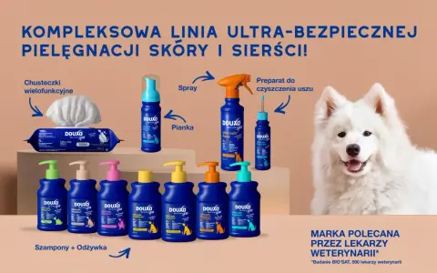 W czym wykąpać psa? Douxo oferuje szampony, odżywki, pianki i spraye do kompleksowej pielęgnacji sierści.