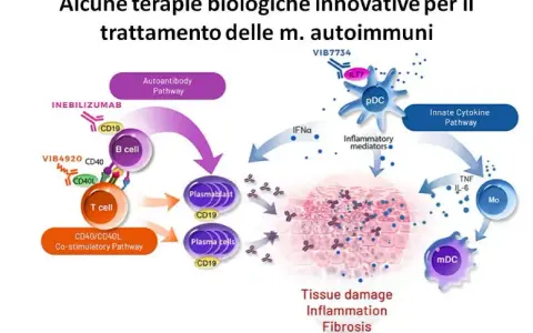 Schema di terapie innovative per malattie autoimmuni. Illustra come le cellule B e T, mediatori infiammatori e citochine causano danno tissutale, spiegando il significato di autoimmune.