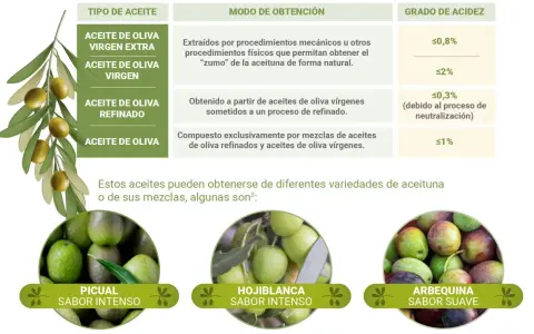 Aceite de oliva, un aceite vegetal, se clasifica por su obtención y acidez. Se muestran variedades como Picual, Hojiblanca y Arbequina.