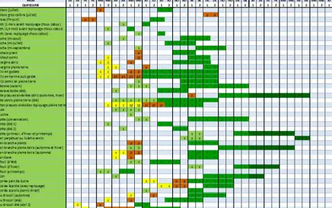 Calendrier de l'association potager : semis et plantation des légumes de janvier à décembre.
