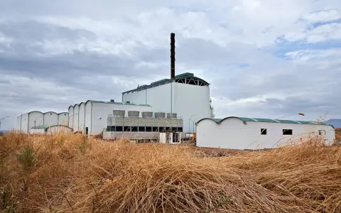 Planta de biomasa industrial con chimenea alta y torres de refrigeración, rodeada de vegetación seca.