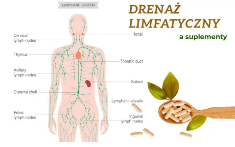Ilustracja układu limfatycznego z zaznaczonymi węzłami chłonnymi, grasicą, śledzioną i naczyniami. Obok łyżka z kapsułkami, sugerująca wsparcie dla drenażu limfatycznego.