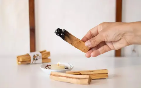 Mano sosteniendo un palo santo encendido, mostrando para qué sirve: purificación y aroma. Hay más palos y una vela encendida.