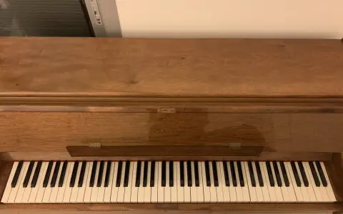 Fortepian: Ile oktaw ma standardowy instrument i dlaczego 88 klawiszy?