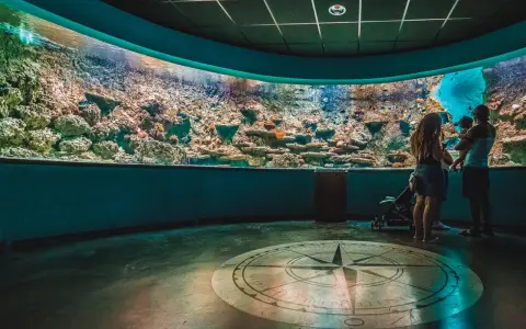 Familia observa un acuario en uno de los museos en Sevilla. Un compás en el suelo marca el camino.