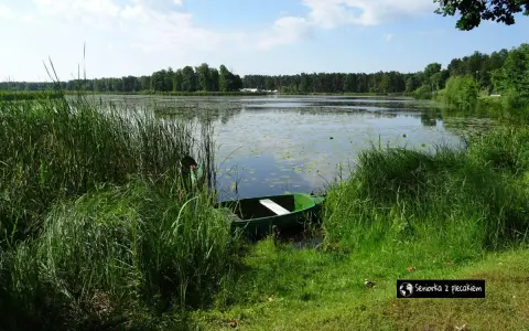 Zielona łódka przy brzegu zarasta trzciną nad spokojnym zalewem Zielona Kaleta.