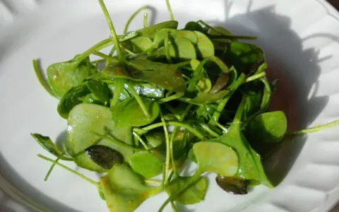 Salade de claytone de Cuba, fraîche et croquante, assaisonnée d'épices.