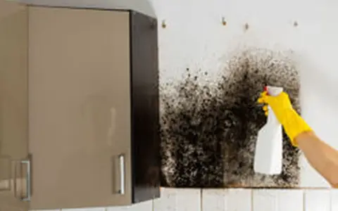 Main d'une personne portant un gant jaune pulvérisant un produit sur un mur couvert de moisissure noire. Action pour nettoyer humidité mur.