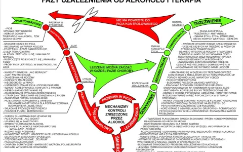 Schemat faz uzależnienia od alkoholu i terapii. Pokazuje cykl choroby, od picia towarzyskiego do śmierci, z możliwością leczenia na każdym etapie. Tolerancja na alkohol wzrasta w początkowych fazach.
