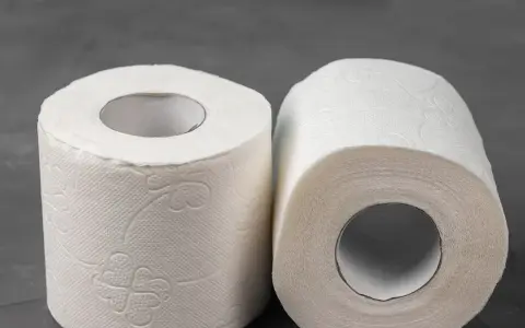 Jaki papier toaletowy do oczyszczalni, aby uniknąć problemów z zatorami?