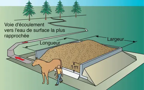 Un cheval et un homme près d'une fosse remplie de fumier de cheval composté. Un canal d'écoulement dirige le surplus vers l'eau.