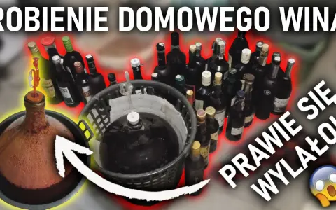 Jak zrobić dobre wino w domu? Twój przewodnik krok po kroku.