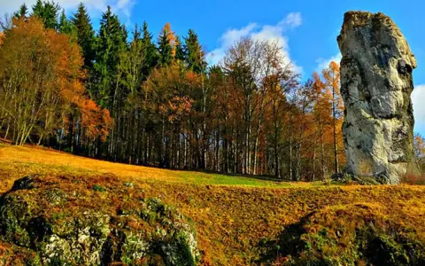 Jesienny krajobraz z wysoką skałą przypominającą maczugę Herkulesa. Las w jesiennych barwach, błękitne niebo z chmurami.