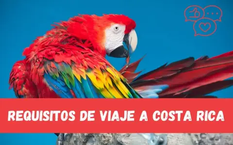 Kolorowa ara na niebieskim tle, z napisem "REQUISITOS DE VIAJE A COSTA RICA".