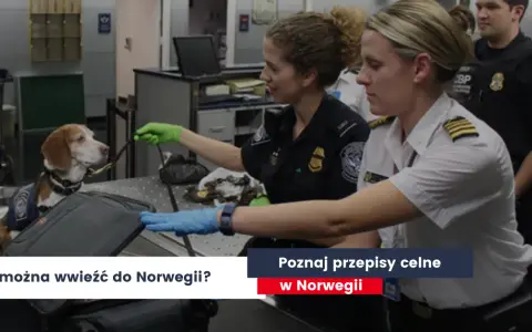 Alkohol do Norwegii samolotem? Poznaj limity i uniknij mandatu!