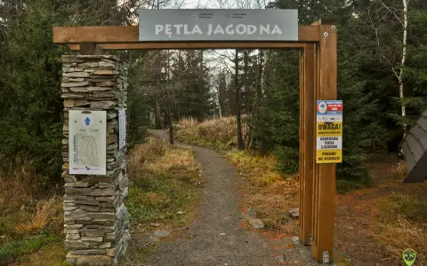 Kamienny filar i drewniana brama wita na Pętli Jagodnej. Ścieżka w lesie zaprasza do wędrówki.