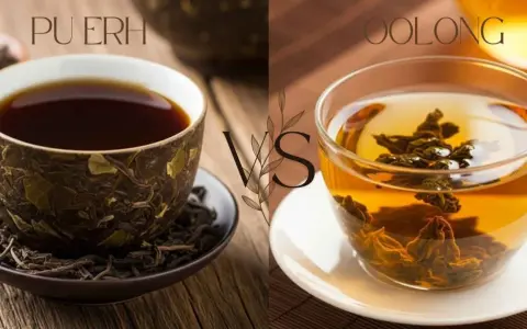 Dwa napary: ciemny Pu-erh i złocisty Oolong, prezentujące różne etapy fermentacji herbaty.