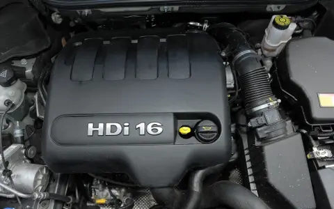 Silnik 2.0 HDi w Peugeot Expert. Widoczny czarny plastikowy dekiel z napisem HDi 16, żółty korek oleju i inne elementy komory silnika.