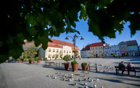 Rynek w Darłowie z kolorowymi kamienicami i gołębiami. Idealne miejsce na spacer i odkrywanie darłowskich atrakcji.