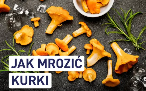 Świeże kurki i lód na ciemnym tle. Dowiedz się, czy kurki można mrozić, aby cieszyć się nimi dłużej.