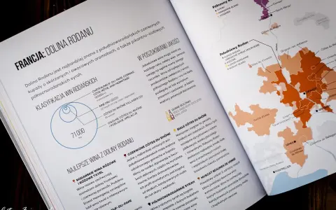 Jak sklarować wino? Praktyczny poradnik krok po kroku