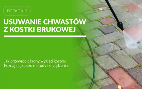 Myjka ciśnieniowa usuwa chwasty z kostki brukowej, przywracając jej estetyczny wygląd.